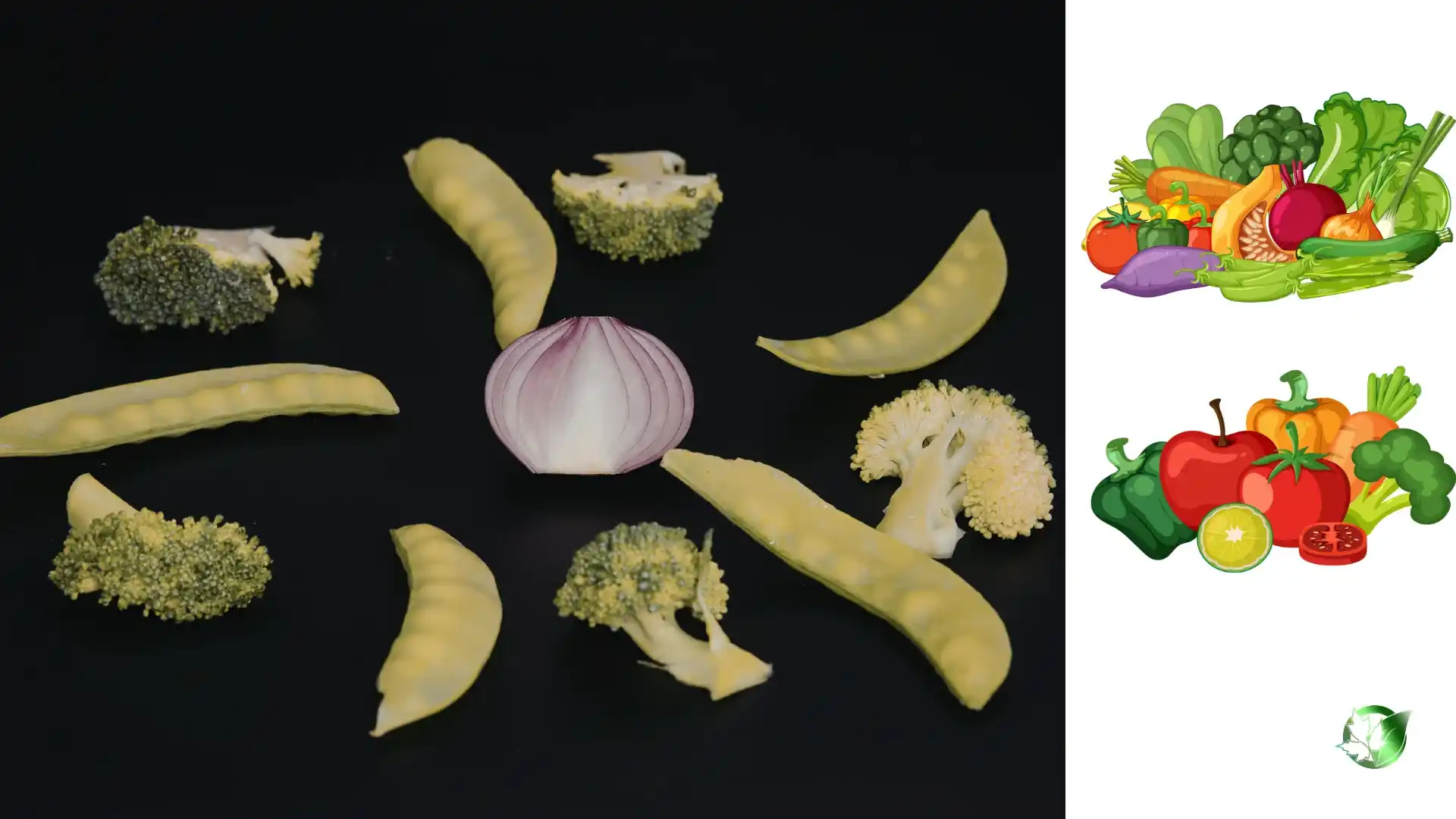 Exporter evaluation for Dried Vegetables should cover specification, packaging, paperwork, logistics, and all-in receiving cost.